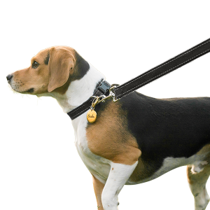 Laisse pour Chien Réfléchissante en Coton Doux Laisse pour Chien Réfléchissante en Coton Doux