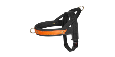 No-Pull Padded Dog Harness