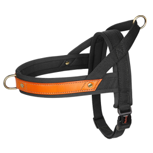 Harnais Matelassé pour Chien – Anti Traction