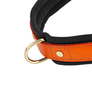 Harnais Matelassé pour Chien – Anti Traction Harnais Matelassé pour Chien – Anti Traction