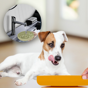 Gamelle Anti-Glouton en Silicone pour Chien - Parfaite pour Friandises et Repas Chien léchant une gamelle jaune en silicone anti-glouton, gros plan sur rinçage facile sous l’eau, médaille chien.
