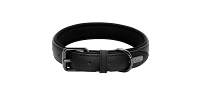 Heavy Duty Padded Leather Dog Collar