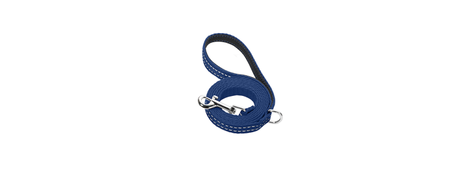 Dog Leashes - Dogstags.ca