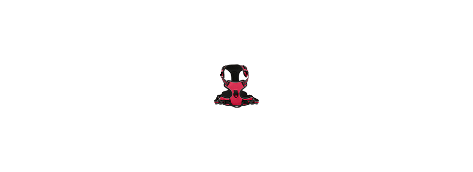 Dog Harnesses - Dogstags.ca