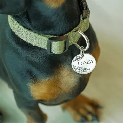 Round Silver Dog Tag